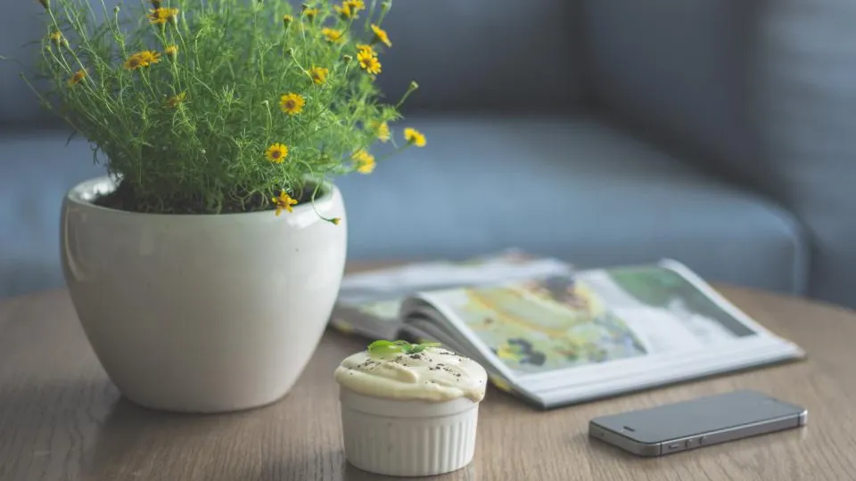 A potted plant with yellow flowers on a coffee table, next to an open magazine and a phone