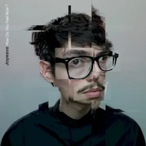 How Do You Feel Now? · Joywave · 2015